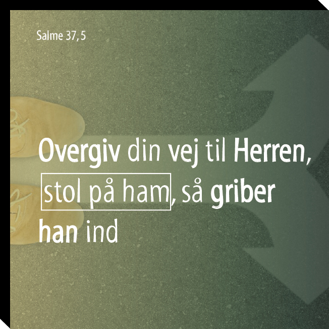 Salme 37, 5 Image