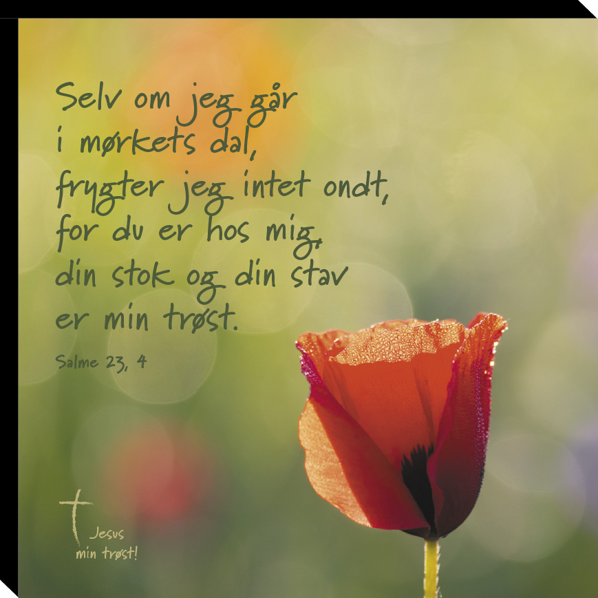 Salme 23, 4-image