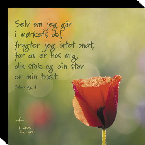 Salme 23, 4-image