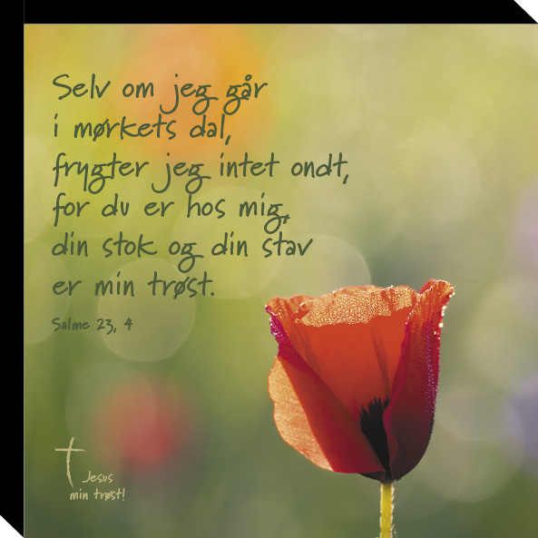 Salme 23, 4-image